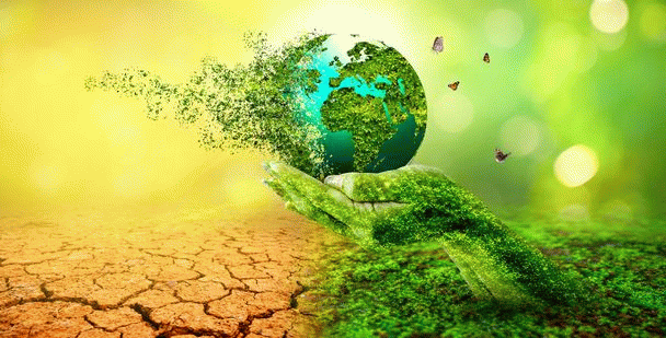 environment-محیط زیست